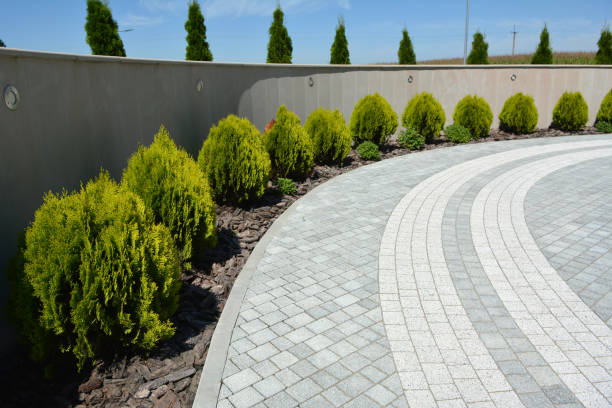 Best Driveway Pavers Near Me  in Wimberley, TX